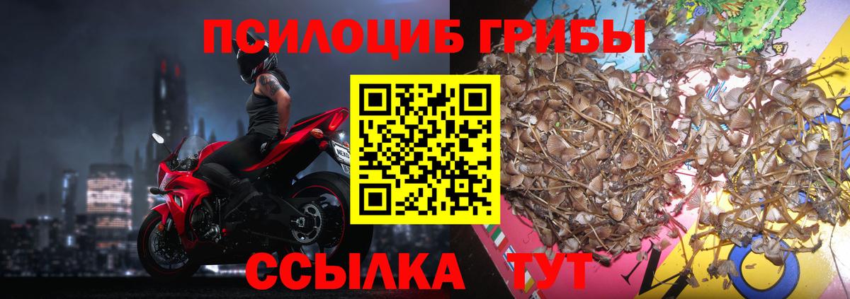 Псилоцибиновые грибы Magic Shrooms Юрга